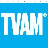 TVAM - Semantics