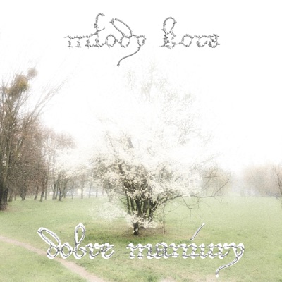 dobre maniury - Single