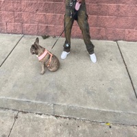 Show me - Single - Kimonte