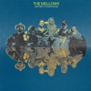 I'm Tryin' (feat. Theo Lawrence)