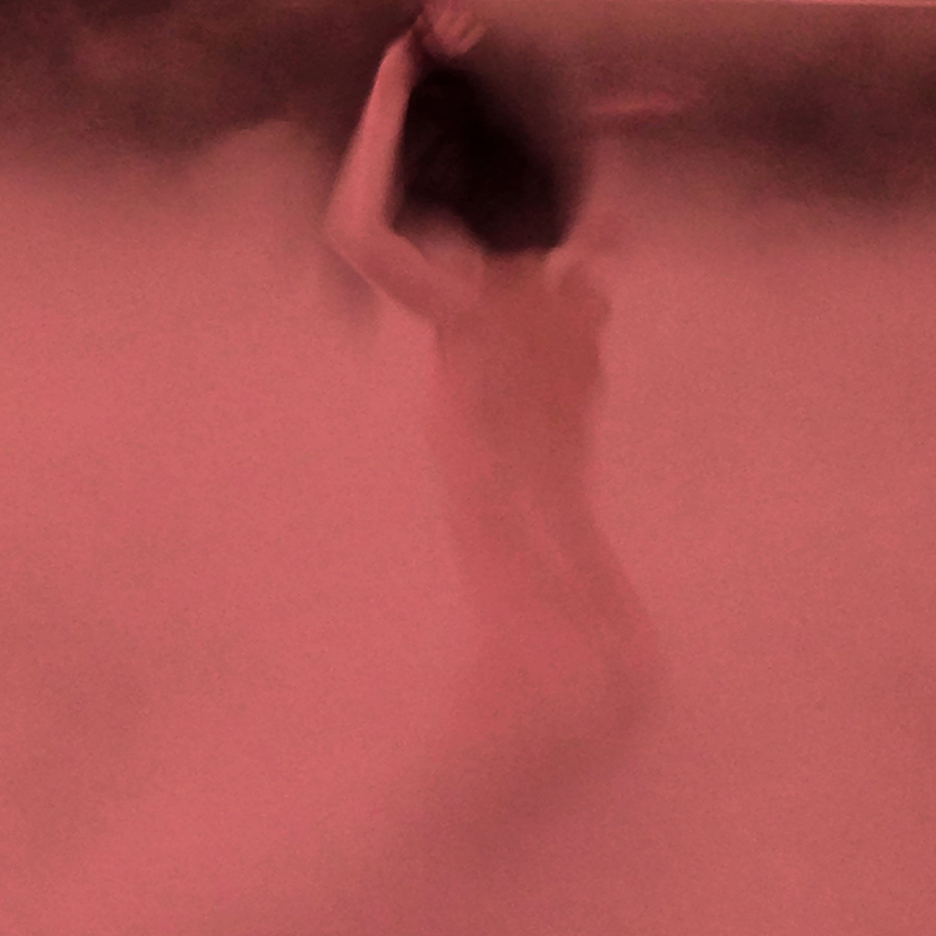 Wild Romance - Single