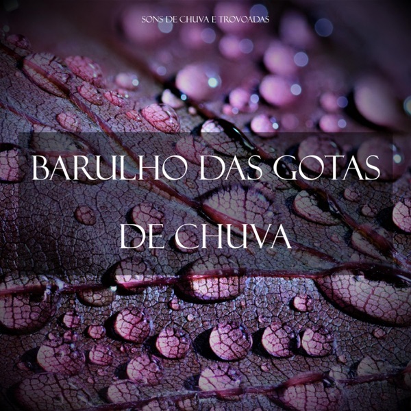 Barulho das Gotas de Chuva