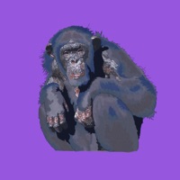 Album cover for Twin Moons/Bearwolf, Pt. 2 by My Friend The Chimpanzee