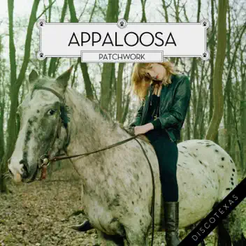 Patchwork album cover