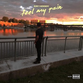 Can't Compare (feat. J.Martiez) Zay Hoody