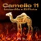 Camello 11 (feat. El Flako) - InclanMx lyrics