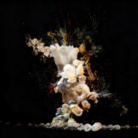 Callie - Single - Arkane Skye