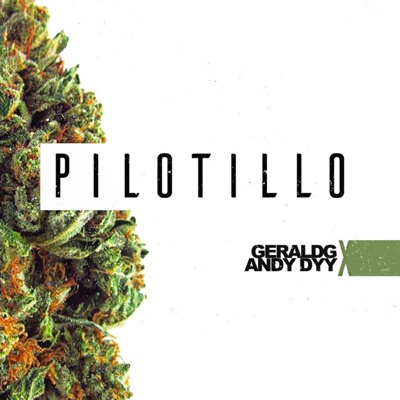 Pilotillo - Single