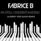 Im Still Understanding (Laurent Veix Remix Radio) - Fabrice B lyrics