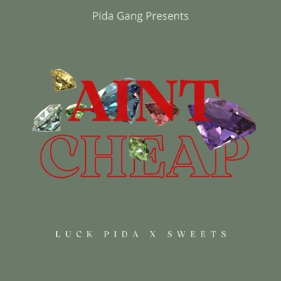 Aint Cheap (feat. Sweets) - Single