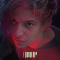 i wanna say - Single - Omri