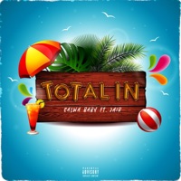 Total in (feat. Jair) - Single - CALWA BABY