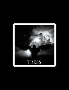 Dengarkan TRESS, tonton video musik, baca bio, lihat tanggal tur & lainnya!