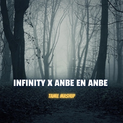 Ds Abhishek - Infinity X Anbe En Anbe