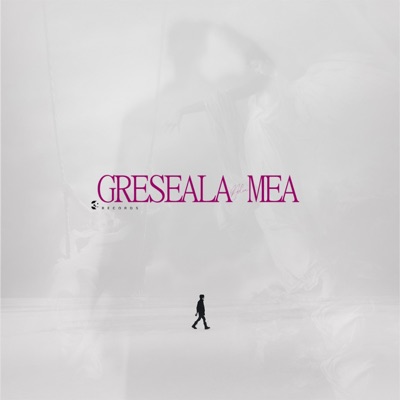 Greșeala mea - Single