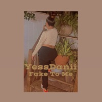 Fake To Me - Single - YD