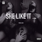 She Like It - Single