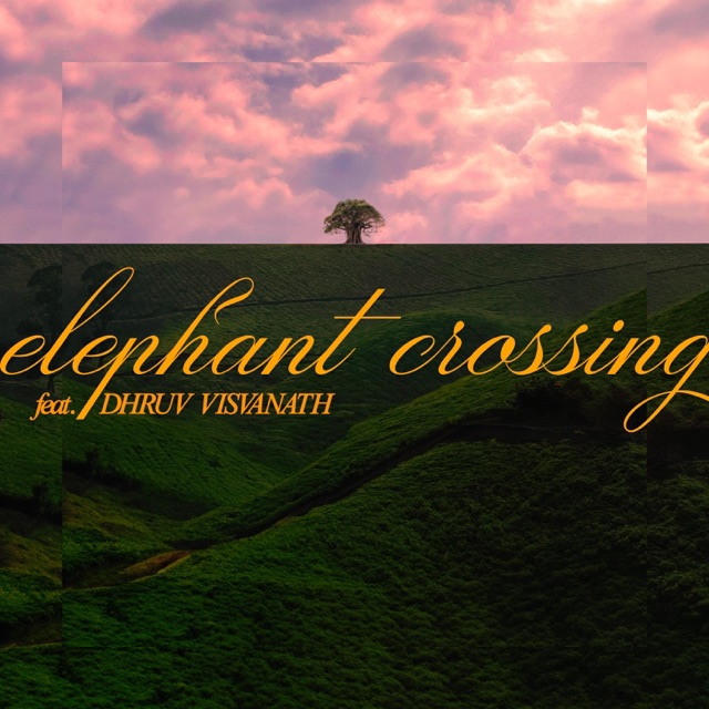 Elephant Crossing~ (A Late Afternoon Special) - Single
