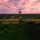 Elephant Crossing A Late Afternoon Special Single