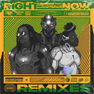 Right Now (Remixes) - Single