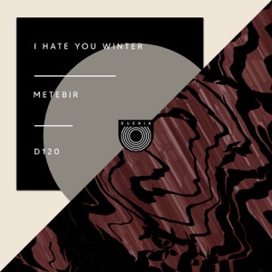 I Hate You Winter - Single