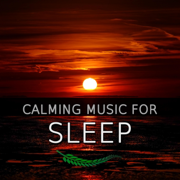 Calming Music for Sleep (Deep Sleep Dreams) - Ambient Senses