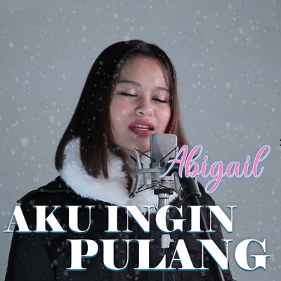 Aku Ingin Pulang - Single