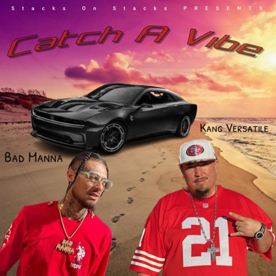 Catch a Vibe (feat. Bad Manna & Dreamlife) - Single