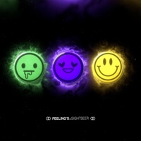 Feelings - Sightseer