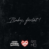 Baby, förlåt! - Single - Erik Meduza, 250 kg kärlek & RÉMO