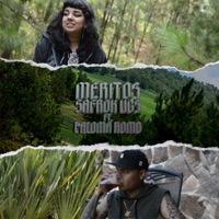 Méritos (feat. Paloma Romo) - Single - Safrok Ucs