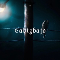 Cabizbajo - Single - 1o3