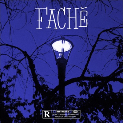 Fâché - Single