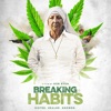 Breaking Habits (Original Motion Picture Soundtrack) artwork