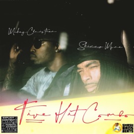 Too Gone (feat. SvmDvde) MikeyChristian & Skinna Mane