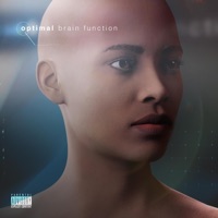 Optimal Brain Function - FLUSHDRUG$ & Bzl