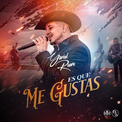 Es Que Me Gustas (En Vivo) - Single