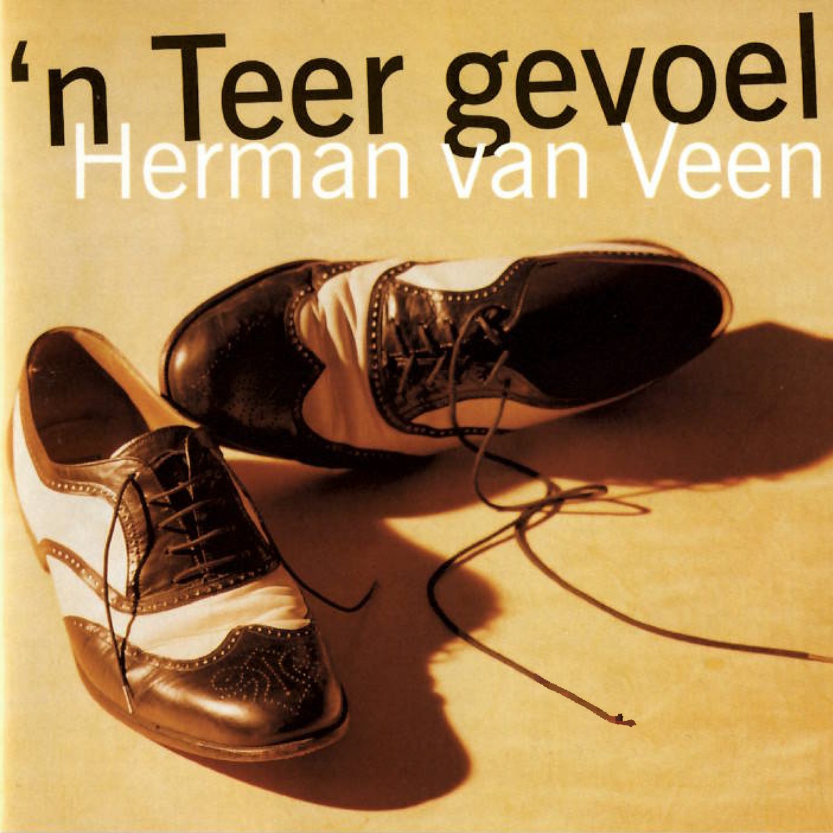 n Teer Gevoel by Herman van Veen on Apple Music