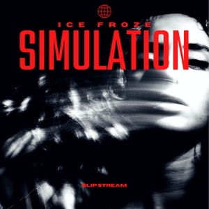 Simulation