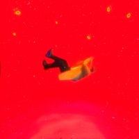 Wake Me - Single - Quota