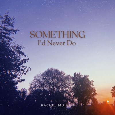 Something I'd Never Do - Single