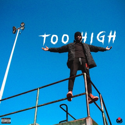 Too High (Instrumental) - Single