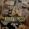 Stream & download A Puro Pelo (En Vivo)