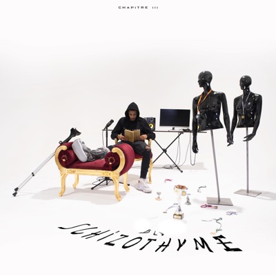 Chapitre 3: Schizothyme - Single