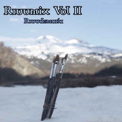 Rruumix Vol II - Single