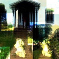 Wit Them Dogs Too - whereamiohmygod