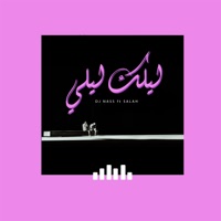 Lelak Leli (feat. Salah) - Single - DJ Nass