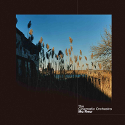 Ma Fleur - The Cinematic Orchestra Cover Art