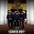NUEVOS PEREGRINOS