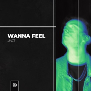 Wanna Feel - Single